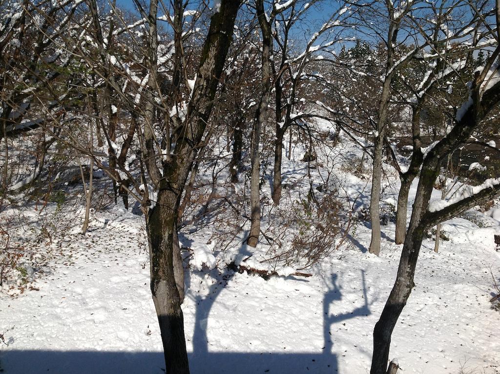 Myoko Kogen Pension Yamasan Exterior photo